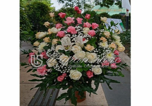 IMG-PRODUCT